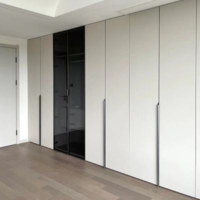 Cabinet blanc moderne de chêne de porte d'hôtel invisible de poignée